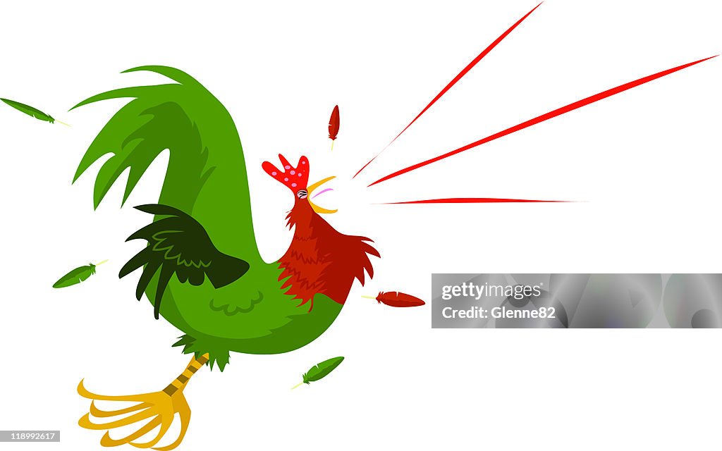 Rooster Crowing