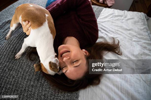 beautiful love between women and the new dog at home. - life event stockfoto's en -beelden