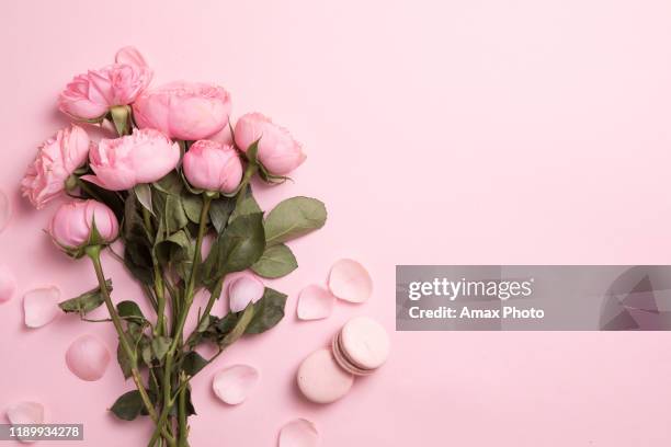 hermosas flores de primavera sobre fondo rosa, composición del marco de flores - flatlay flowers fotografías e imágenes de stock