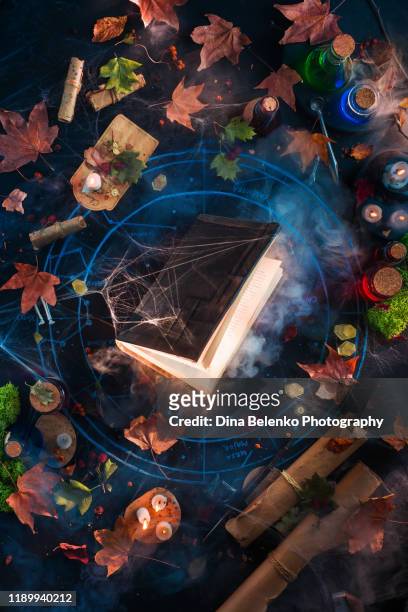 shining magical book flat lay with spider webs, scrolls, and candles. occult still life from above - wicca stock-fotos und bilder