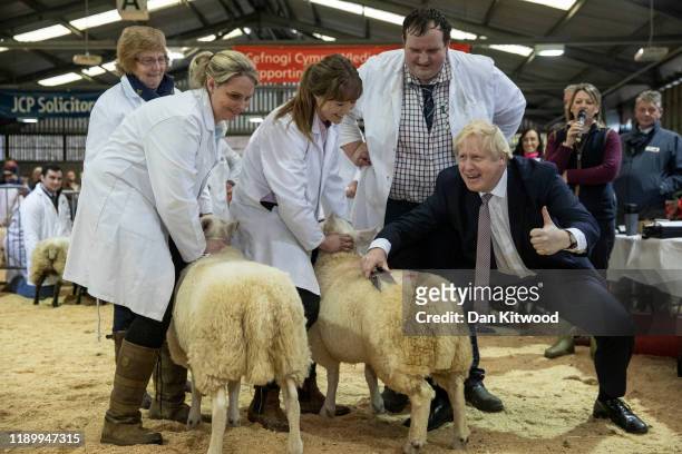 Britain's Prime Minister and Conservative Party leader Boris Johnson trims a sheep while visiting the Royal Welsh Winter Fair on November 25, 2019 in...
