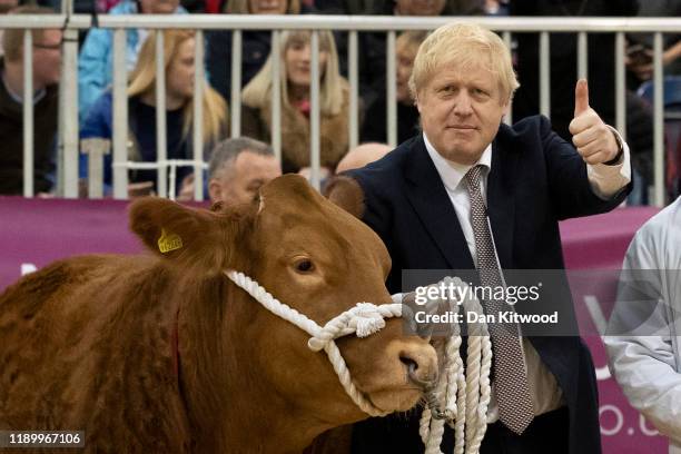 Britain's Prime Minister and Conservative Party leader Boris Johnson holds a bull in the show ring while visiting the Royal Welsh Winter Fair on...