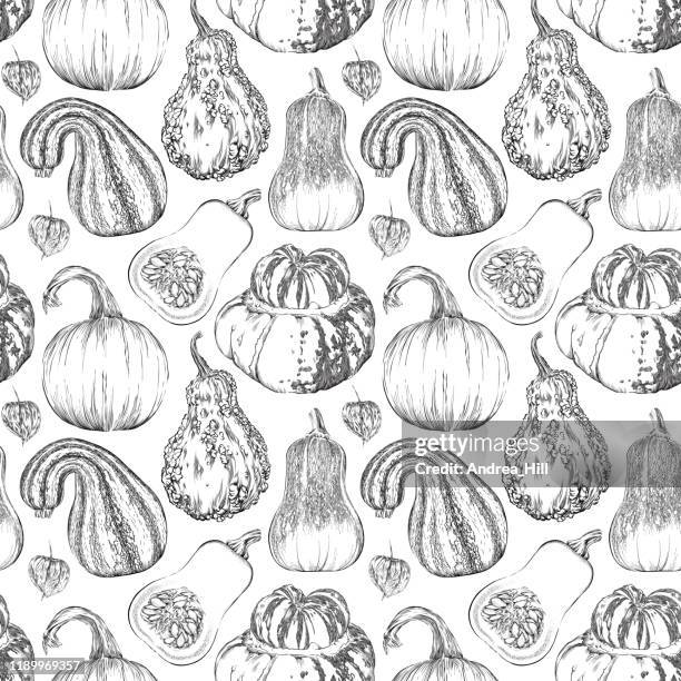vector ink drawing of fall pumpkins and squash - pumpkin seed stock illustrations