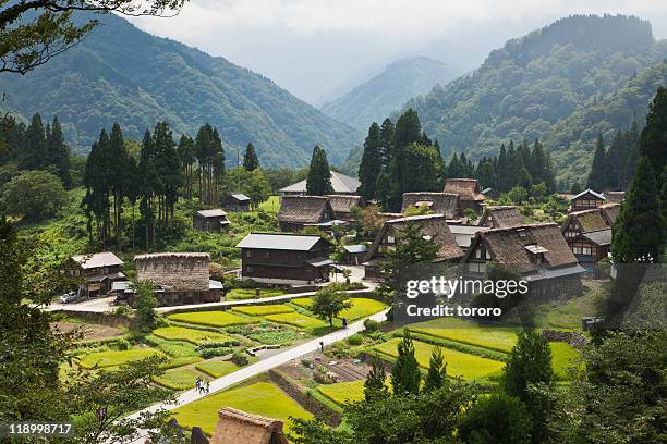 japanese rural mountain village with rice fields - toyama prefecture imagens e fotografias de stock