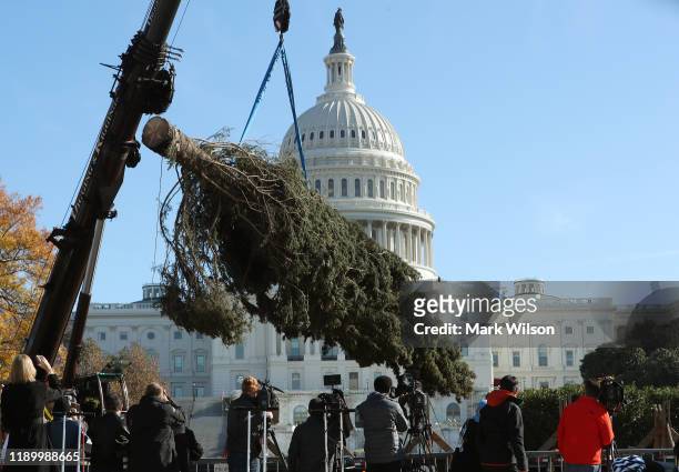 Foot tall blue spruce Christmas tree is unloaded from a flatbed truck before it will stand in front of the U.S. Capitol, on November 25, 2019 in...