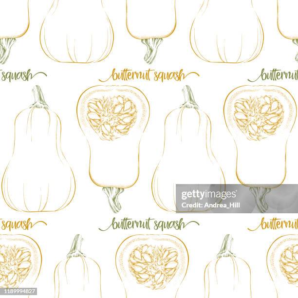 butternut squash seamless pattern background. vector ink and watercolor drawing. - pumpkin seed stock illustrations