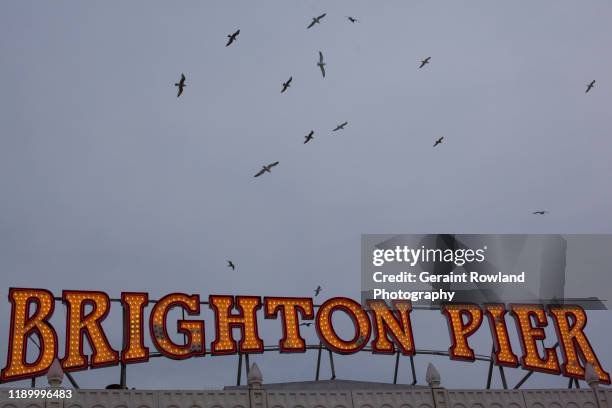 brighton pier - brighton pier stock pictures, royalty-free photos & images