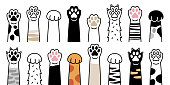 Paws up pets set isolated on white background. Vector illustration