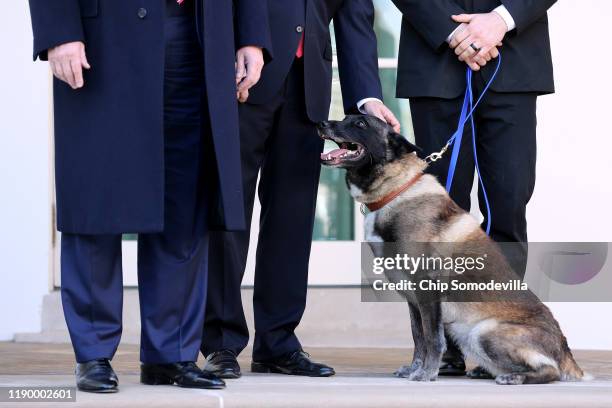 President Donald Trump , Vice President Mike Pence and an unidentified dog handler pose for photographs with Conan, the U.S. Military K9 that...