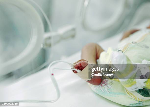 newborn baby in neonatal intensive care unit (nicu) - neonatal intensive care unit 個照片及圖片檔