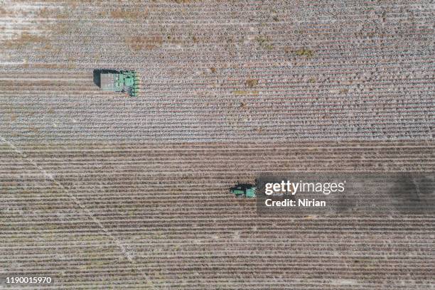 aerial view of a large green cotton harvester - cottonfield stock pictures, royalty-free photos & images