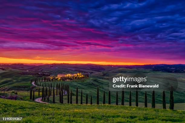 Winding gravel road, flanked by cypress avenues, leading to the Agriturismo Baccoleno after sunset with red clouds.
