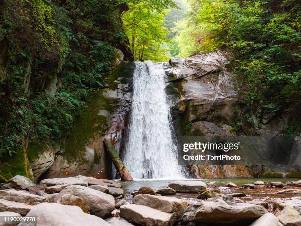 dreamlike waterfall hidden in the hills in summer forest - alps romania stock pictures, royalty-free photos & images