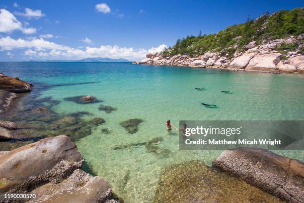 girls walk into the water to take a swim. - queensland beaches stock pictures, royalty-free photos & images