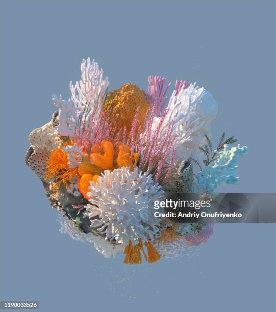 corals - ecosistema fotografías e imágenes de stock