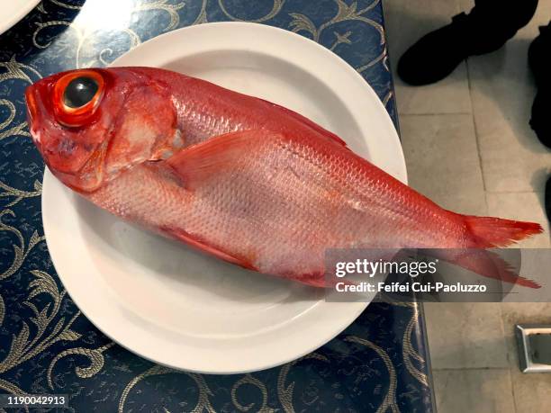 close-up of a red bream at el medano, tenerife, spain - redfish stockfoto's en -beelden