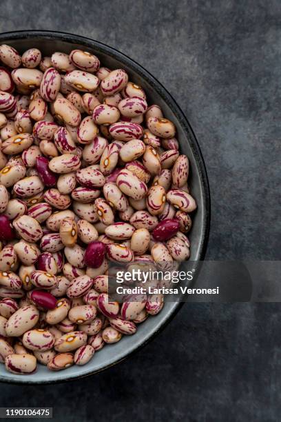 bowl of dried pinto beans - pinto bean stock pictures, royalty-free photos & images