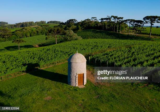 Aerial view of the Familia Geisse vineyard in Pinto Bandeira, Rio Grande do Sul state, Brazil, on December 3, 2019. - Pinto Bandeira is one of the...
