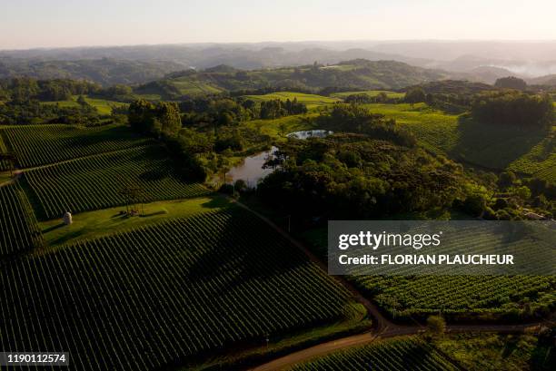 Aerial view of the Familia Geisse vineyard in Pinto Bandeira, Rio Grande do Sul state, Brazil, on December 3, 2019. - Pinto Bandeira is one of the...