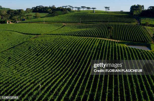 Aerial view of the Familia Geisse vineyard in Pinto Bandeira, Rio Grande do Sul state, Brazil, on December 3, 2019. - Pinto Bandeira is one of the...