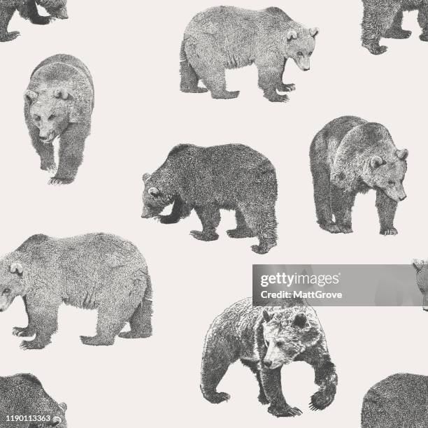 stockillustraties, clipart, cartoons en iconen met bear naadloze herhaal patroon - beer