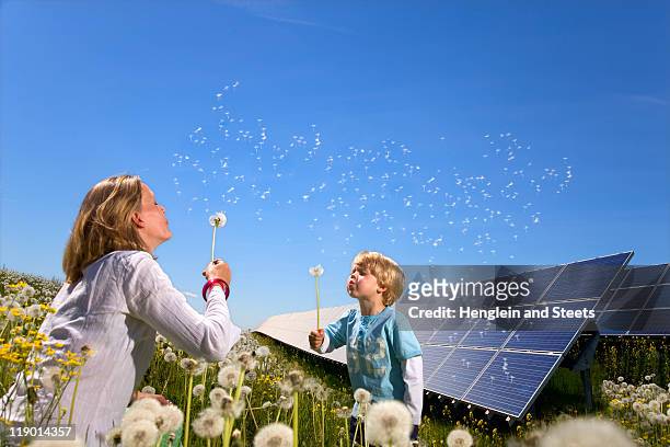 mother and son with solar panels - child dandelion stockfoto's en -beelden