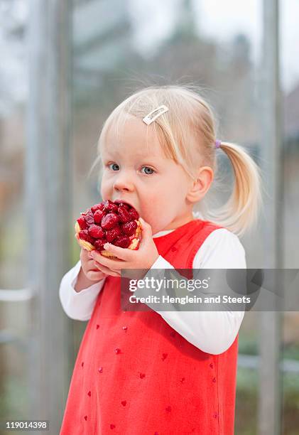 toddler girl eating fruit cake - girl of desire stock pictures, royalty-free photos & images