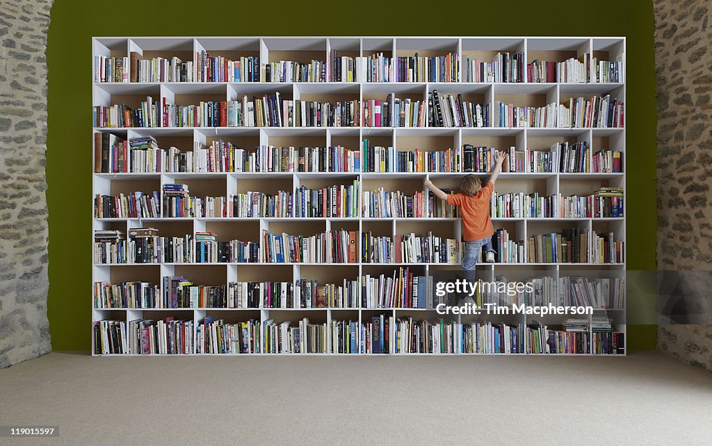 Boy climbing bookshelves