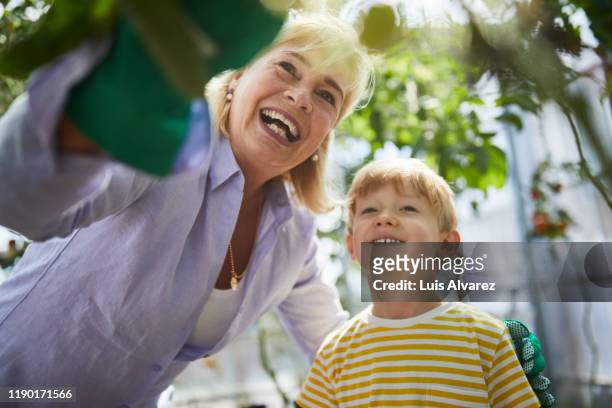 grandmother standing with grandson in garden - responsibility stock-fotos und bilder
