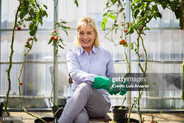 portrait woman sitting in greenhouse - eine seniorin allein stock-fotos und bilder