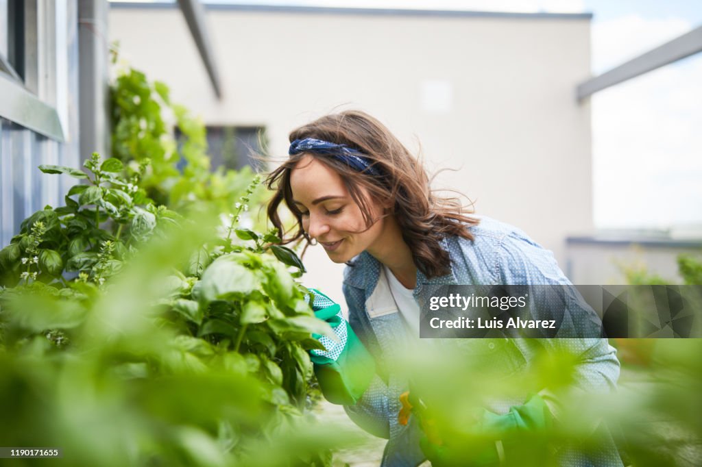 Young woman smelling plants outside greenhouse