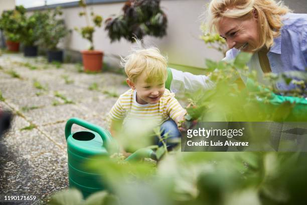 grandson assisting grandmother in garden - selective focus stock-fotos und bilder