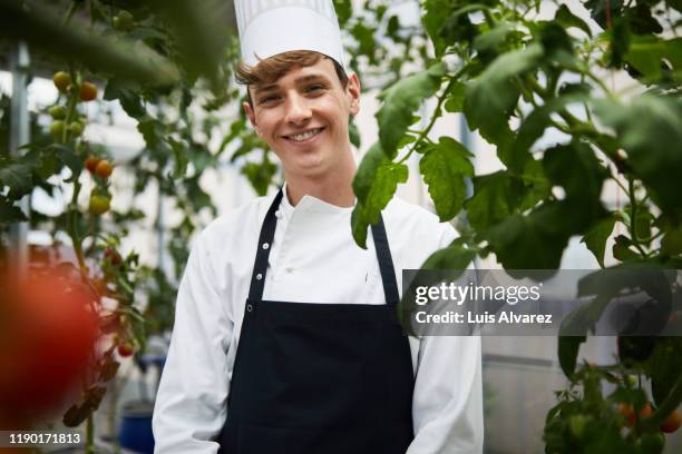 smiling young man standing by plants in greenhouse - personal chef stock pictures, royalty-free photos & images