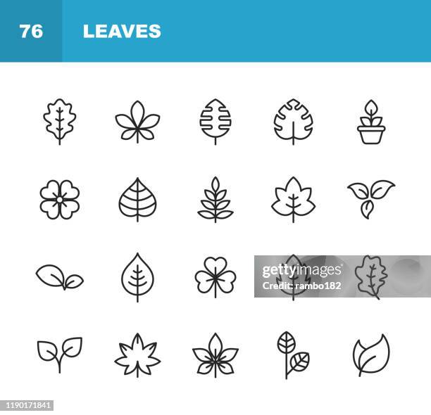 blatt und pflanze linie icons. bearbeitbarer strich. pixel perfekt. für mobile und web. enthält symbole wie blatt, pflanze, natur, umwelt, ökologie, eiche, palme, ahorn, kiefer. - eiche stock-grafiken, -clipart, -cartoons und -symbole