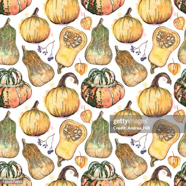 fall items seamless pattern. vector ink and watercolor drawing of fall pumpkins and squash - pumpkin seed stock illustrations