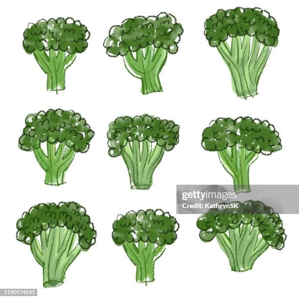 broccoli drawing - cooked broccoli stock illustrations