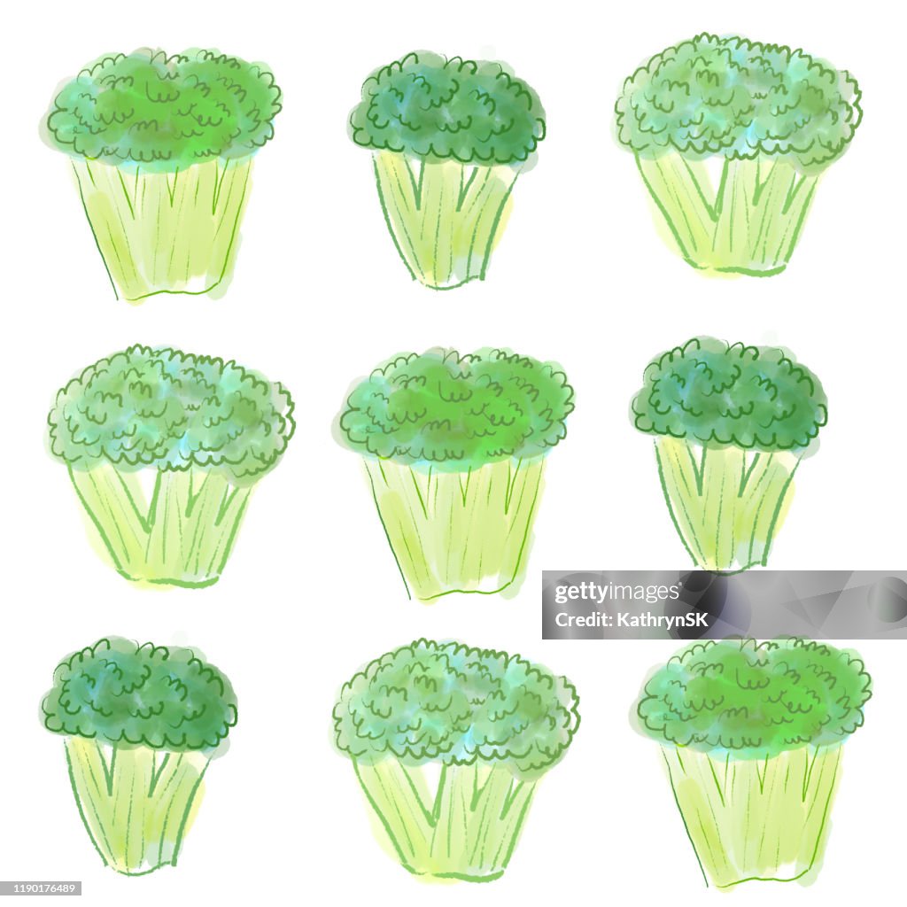 Digital Broccoli Drawing High-Res Vector Graphic - Getty Images
