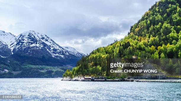 côtes du fjord hardanger, comté d'hordaland, norvège - comté dhordaland photos et images de collection