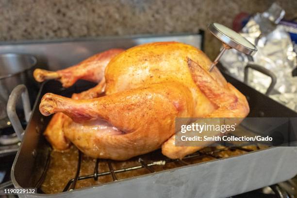Cooked turkey in roasting pan with meat thermometer during the preparation of a traditional American Thanksgiving holiday meal, San Ramon,...