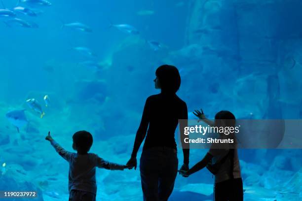 familie steht in der nähe von aquarium und blick auf fische - familie zoo stock-fotos und bilder