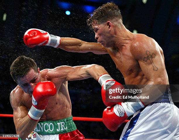 Arturo Gatti lands a right hand to the head of Gianluca Branco during their 12 round fight for the vacant WBC Junior Welterweight Championship. Gatti...