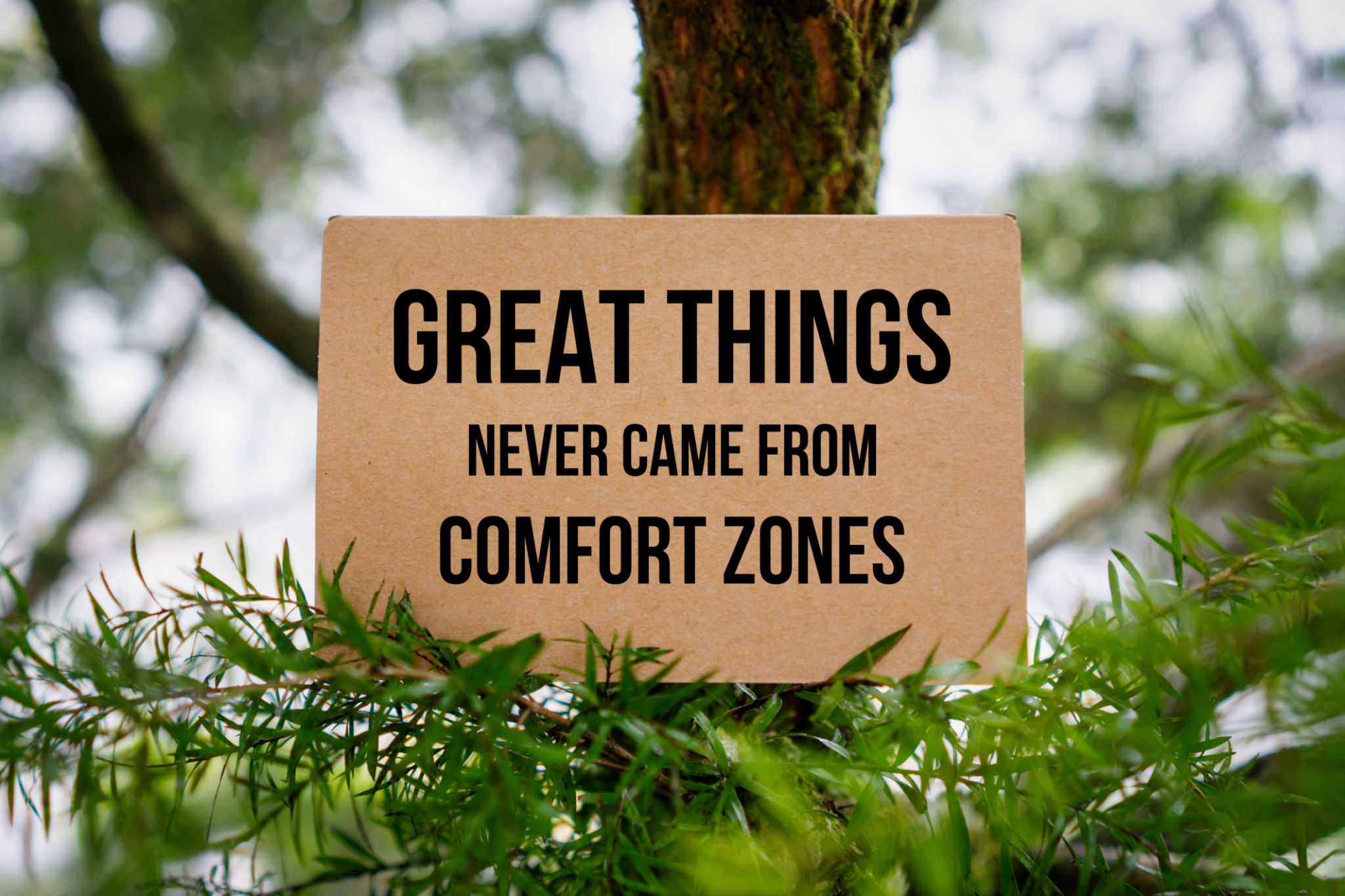Great Things Never Came From Comfort Zones. Paper Card On Nature. Great Things Never Came From Comfort Zones. Paper Card On Nature.