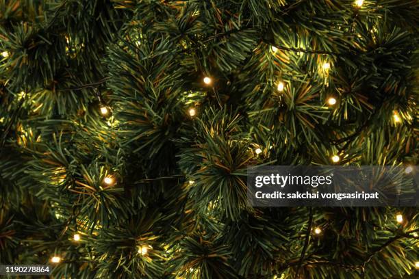 full frame shot of illuminated christmas decorations on christmas tree - árbol de navidad fotografías e imágenes de stock