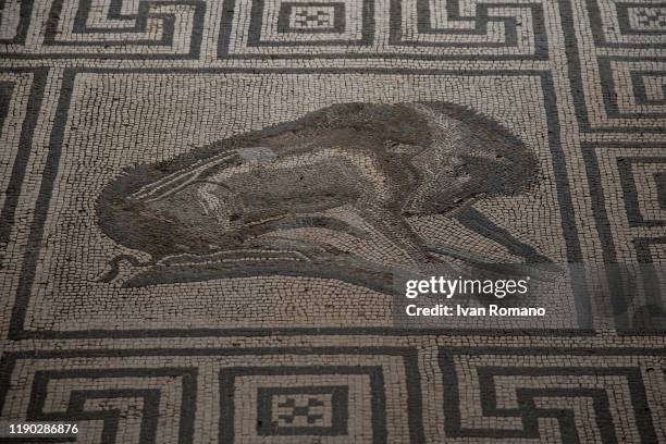 Mosaic of the Casa del Cinghiale on November 26, 2019 in Pompei, Italy.