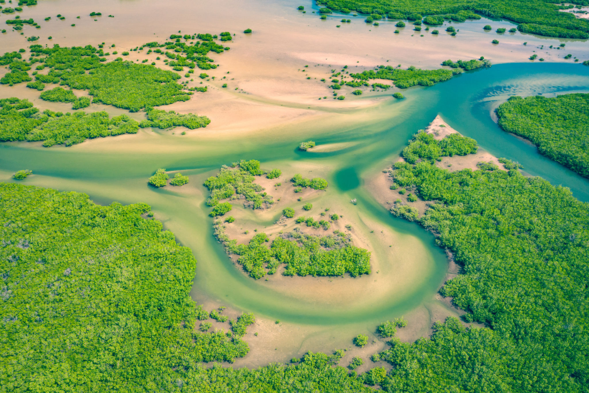 gambia landscape