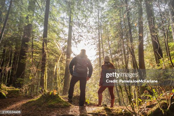 man and woman hikers enjoying view through trees in forest - forest bathing stock pictures, royalty-free photos & images
