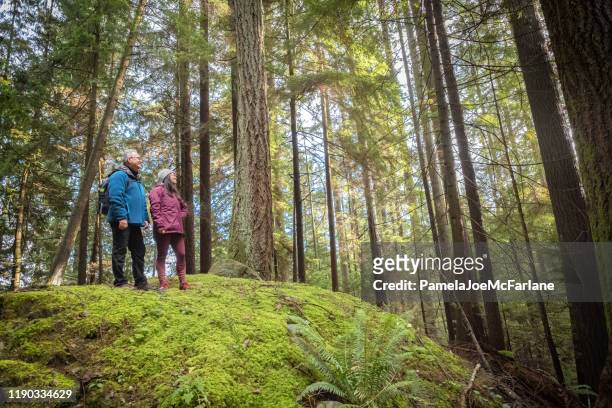 father and eurasian daughter hiking over mossy hill in forest - vancouver canada stock pictures, royalty-free photos & images