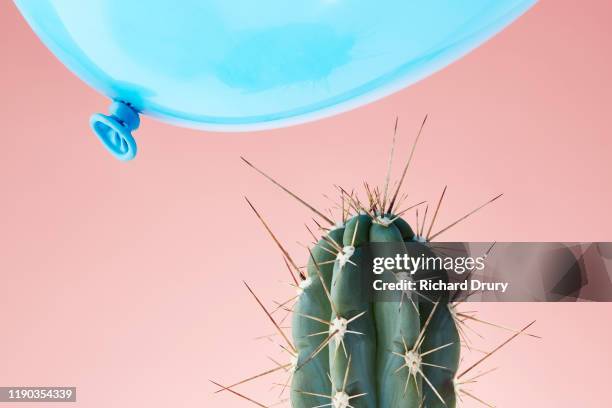 balloon flying close to cactus - kaktus bildbanksfoton och bilder