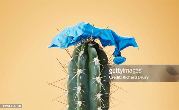 burst balloon impaled on cactus - missing photos et images de collection