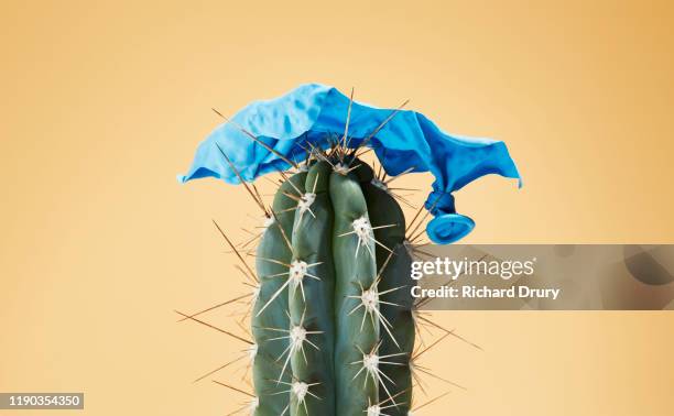 burst balloon impaled on cactus - balloons concept imagens e fotografias de stock